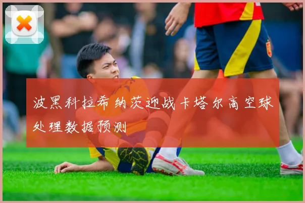 波黑科拉希纳茨迎战卡塔尔高空球处理数据预测