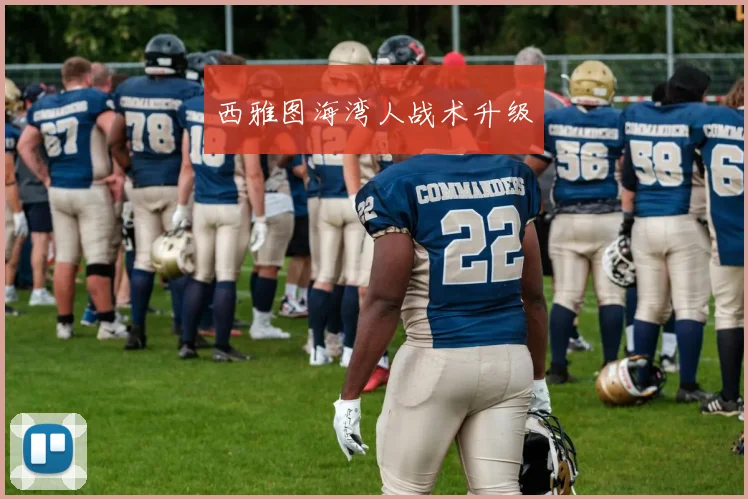 西雅图海湾人战术升级