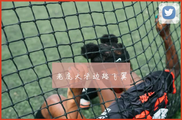 老虎大学边路飞翼