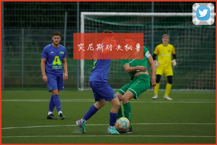 突尼斯对决秘鲁