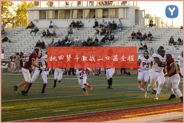 桃田贤斗激战山口茜全程