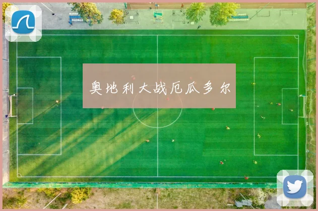 奥地利大战厄瓜多尔