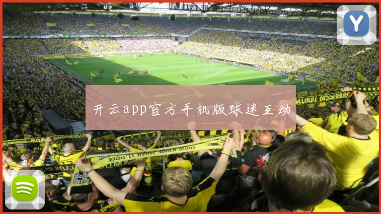 开云app官方手机版球迷互动