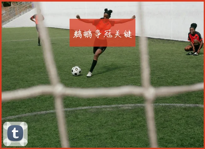 鹈鹕争冠关键