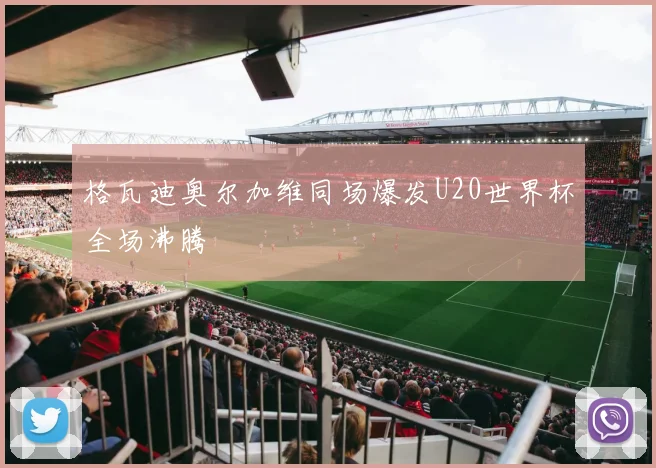 格瓦迪奥尔加维同场爆发U20世界杯全场沸腾
