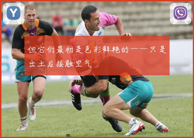 但它们最初是色彩鲜艳的——只是出土后接触空气