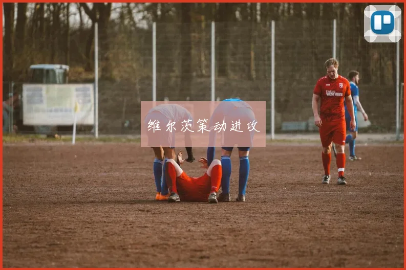 维尔茨策动进攻