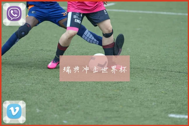 瑞典冲击世界杯