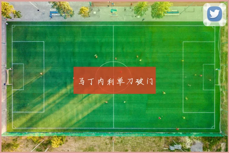 马丁内利单刀破门