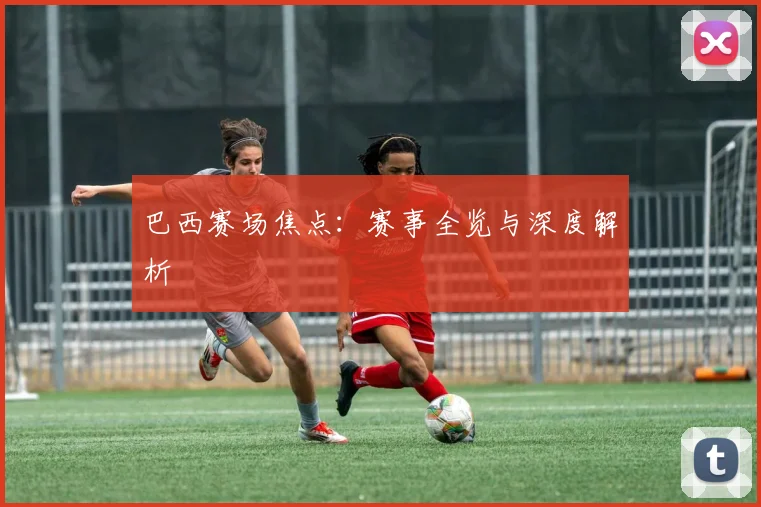 巴西赛场焦点：赛事全览与深度解析