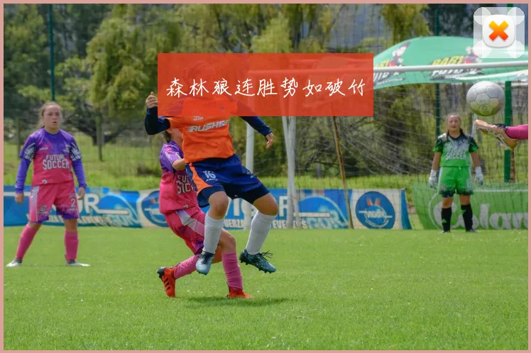 森林狼连胜势如破竹