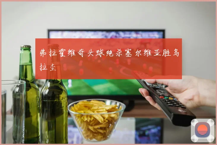 弗拉霍维奇头球绝杀塞尔维亚胜乌拉圭