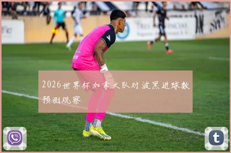 2026世界杯加拿大队对波黑进球数预测观察