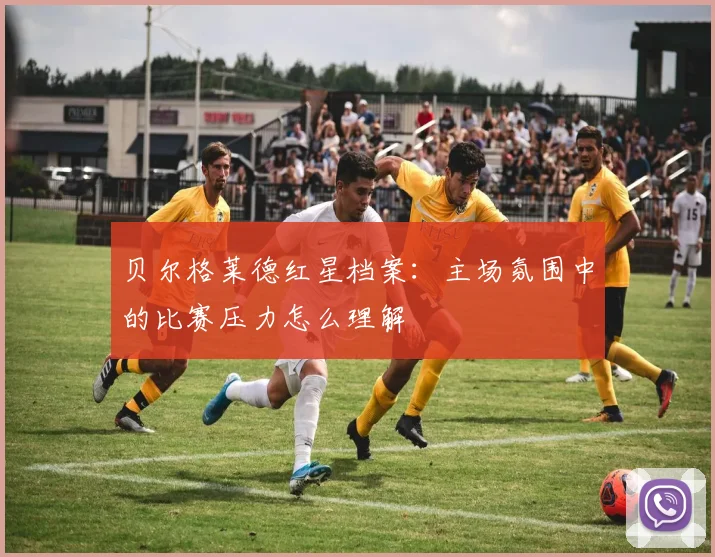 贝尔格莱德红星档案:主场氛围中的比赛压力怎么理解